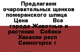 Предлагаем очаровательных щенков померанского шпица › Цена ­ 15 000 - Все города Животные и растения » Собаки   . Хакасия респ.,Саяногорск г.